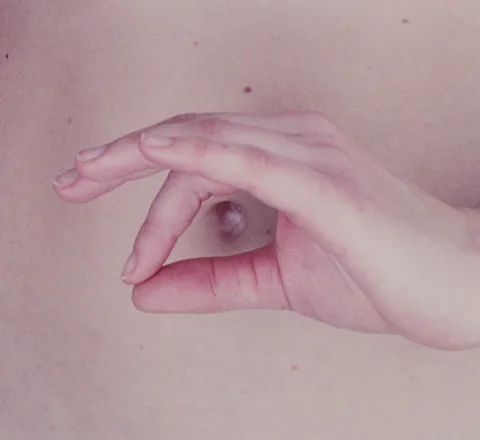 Ann Lislegaard — Cosmos