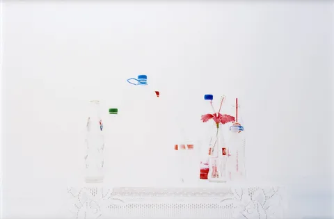Elspeth Diederix — Vanishing still life