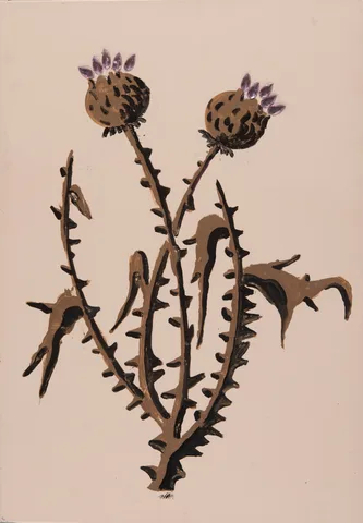 Fons Haagmans — Distel
