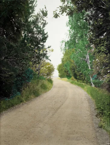 Edward Clydesdale Thomson — A Green Thought in A Green Shade