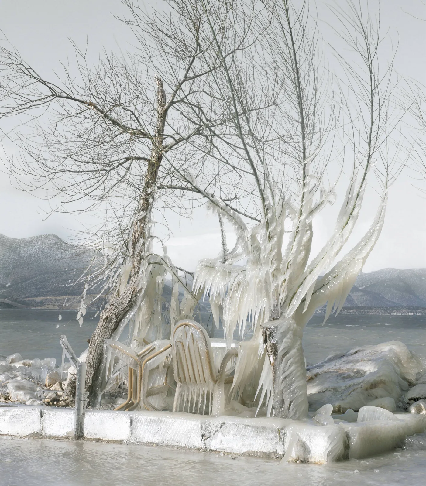 Ingo Mittelstaedt — Rimmy