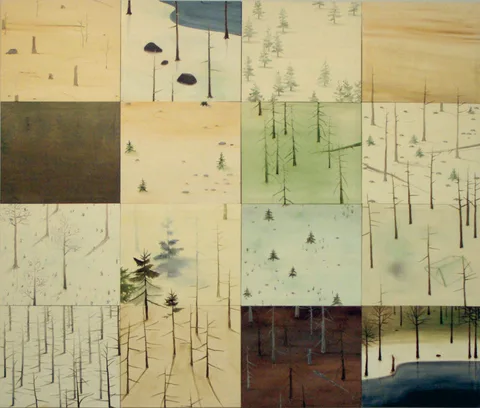 Pär Strömberg — A Quick view over Appojaure