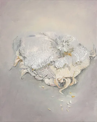 Heske de Vries — Observatie serie nr 6