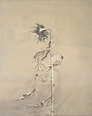 Heske de Vries — Observatie serie nr 2