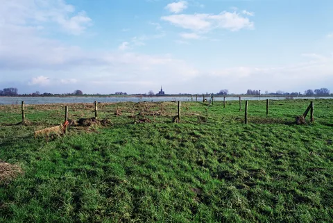 Bob Negrijn — De Kerk van Dreumel