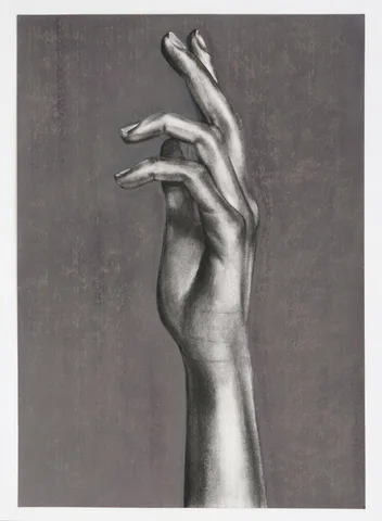 Ina van Zyl — Extension