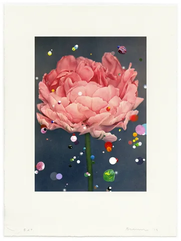 Sebastiaan Bremer — Dubbele Late Tulp Eros