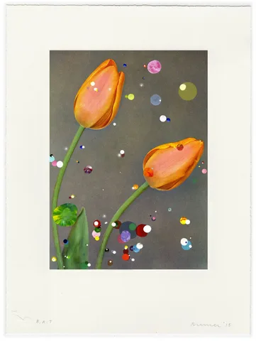 Sebastiaan Bremer — Triumph Tulp Bruno Walther
