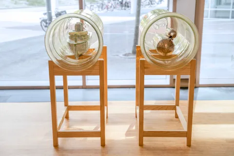 Gijs Assmann — 'Coulda' & 'Shoulda'