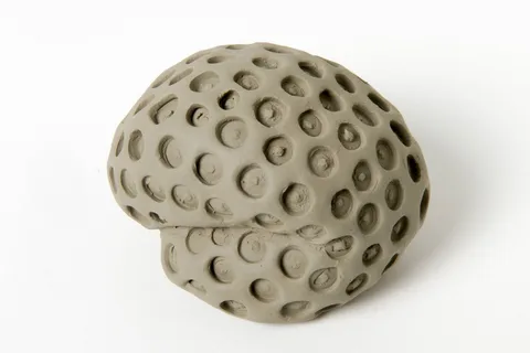Merijn Bolink — Artificial Eyes
