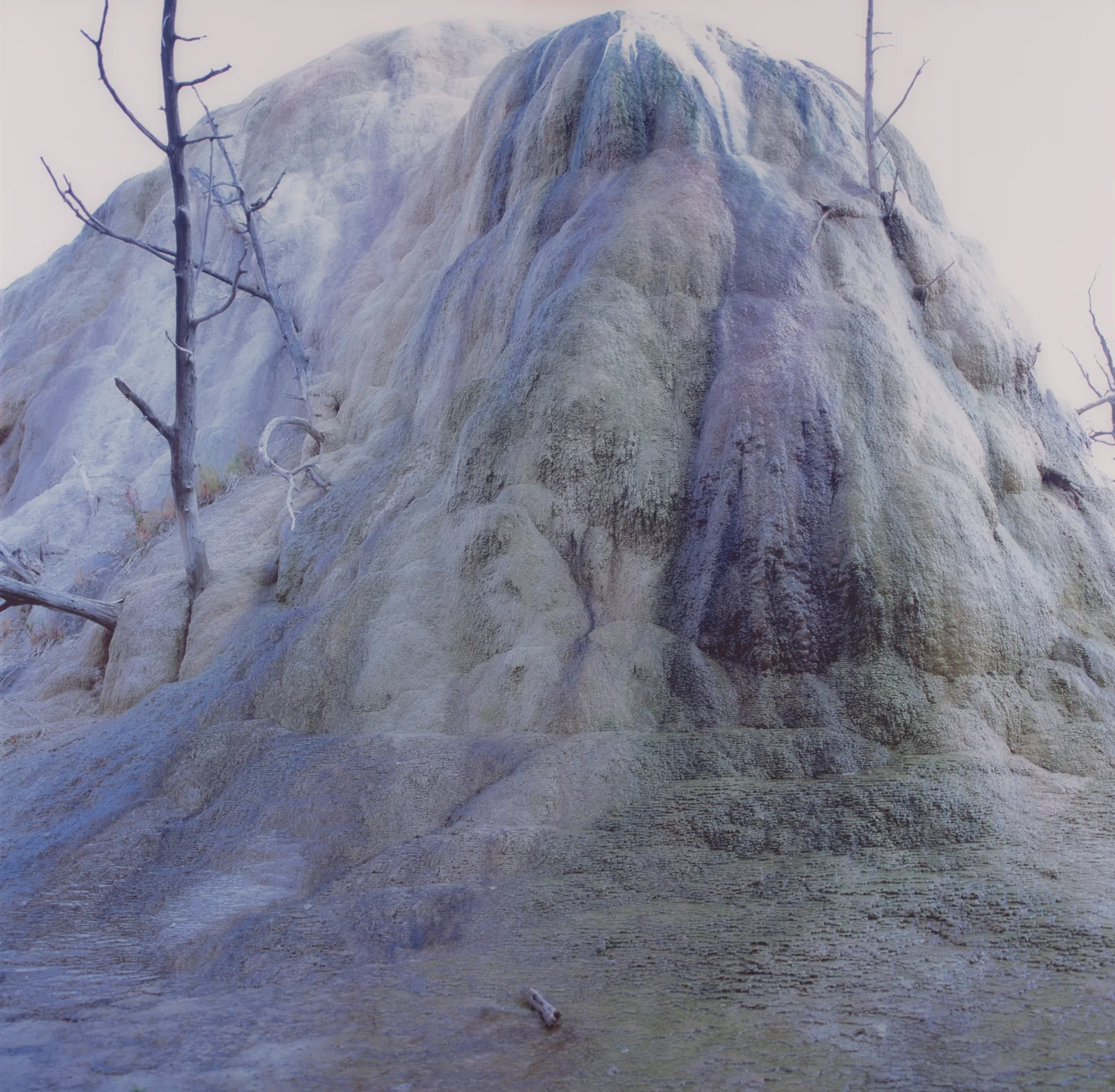 Rob Johannesma — Landscape