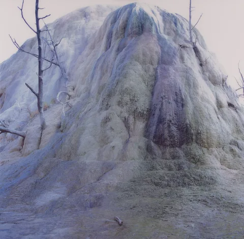Rob Johannesma — Landscape