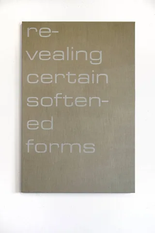 Tim Ayres — Revealing certain softened forms