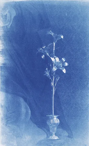 Monica Ragazzini — Untitled