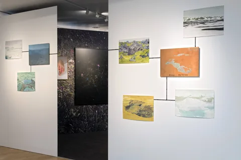 Karin Bos — Back to Basecamp