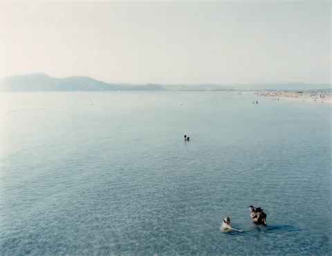 Massimo Vitali — Giens Dog