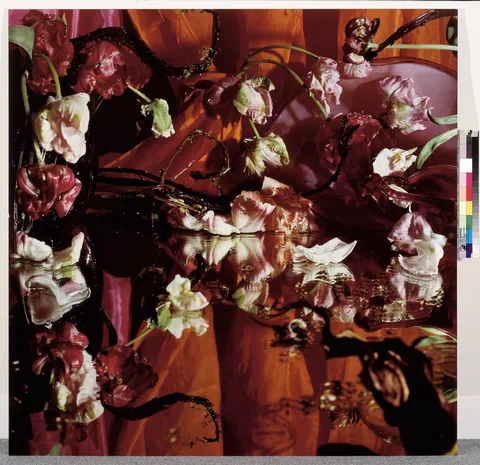 Margriet Smulders — Sirene