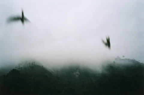 Els Timmerman — Zonder titel