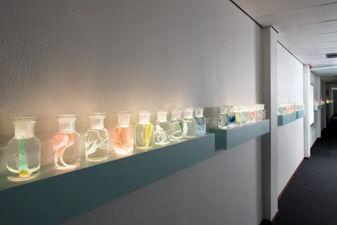 Jeroen Kuster — Zonder titel