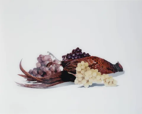 Maurice Scheltens — Still life without food #3