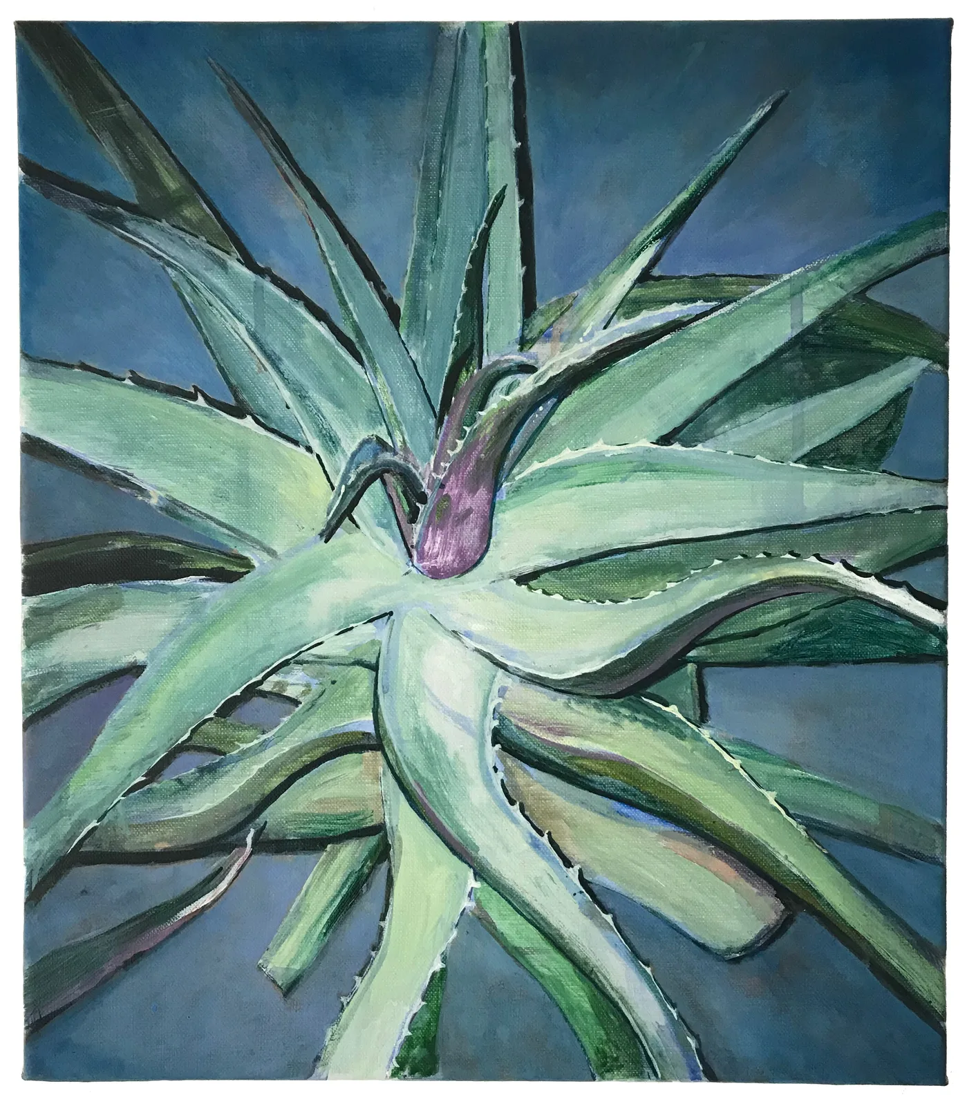 Arjan van Helmond — Green aloë vera #1