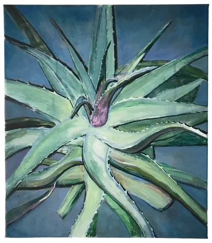 Arjan van Helmond — Green aloë vera #1