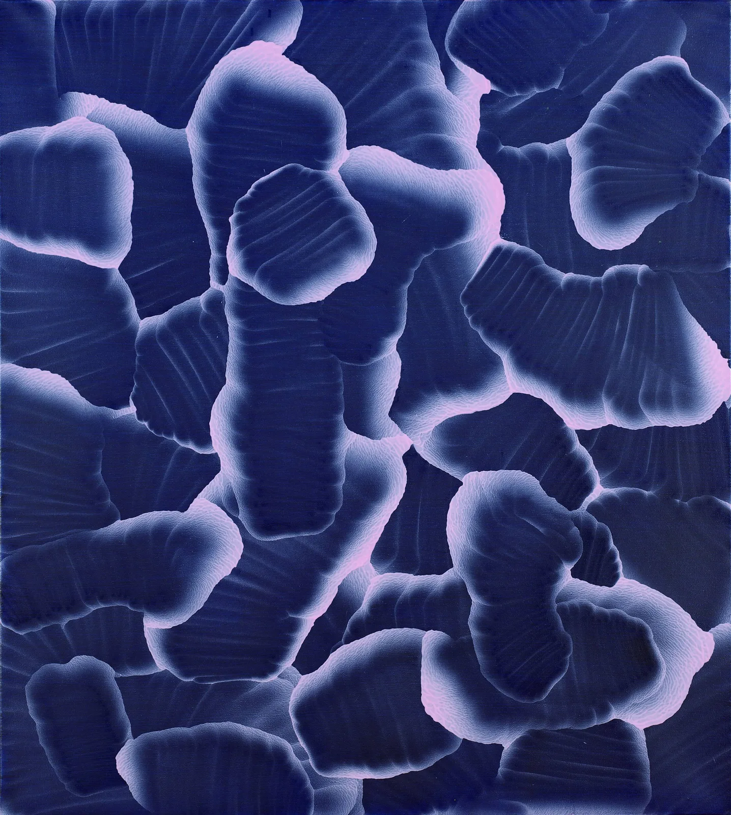 Martijn Schuppers — # 0262/ABSP