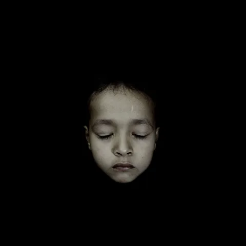 Hans Op de Beeck — Determination