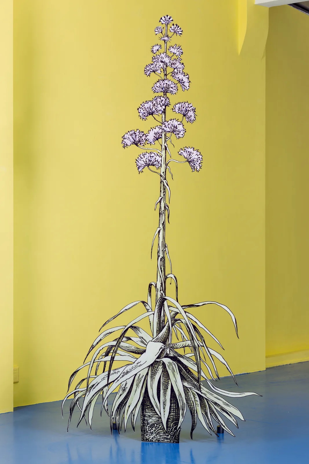 Claudia Martínez Garay — planta rosada / pink plant