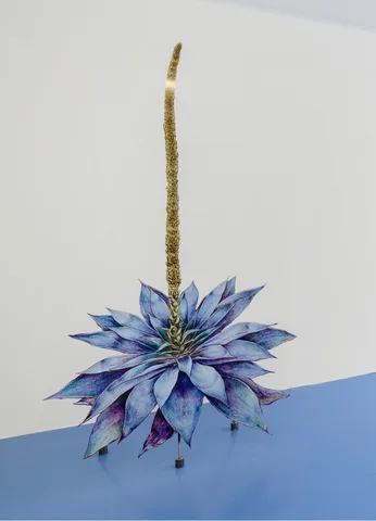 Claudia Martínez Garay — planta azul / blue plant