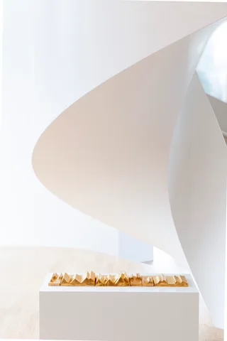 Eva Crebolder — The Gold Folded Rim