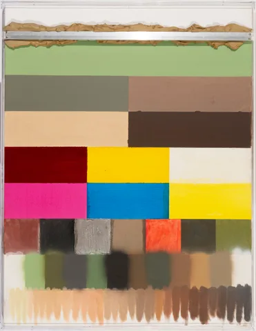 Roy Villevoye — Schema 'Melanine'