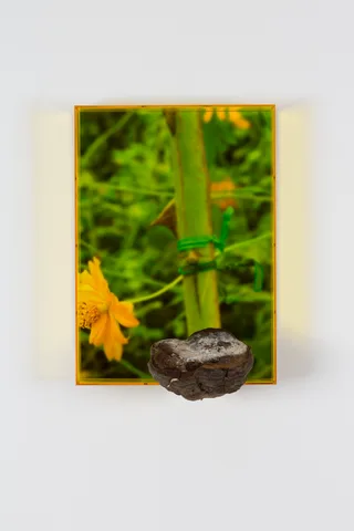 Saskia Noor van Imhoff — Untitled