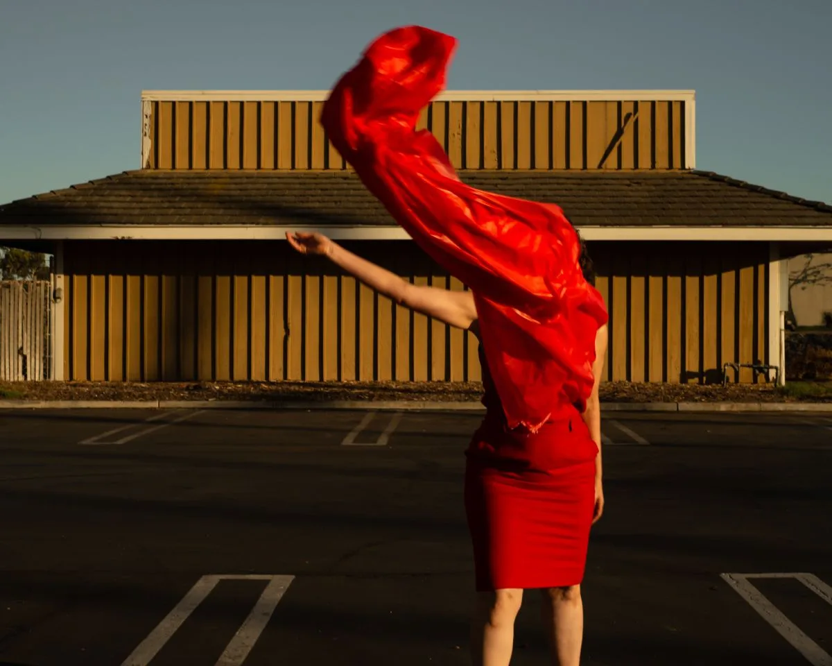 Tania Franco Klein — Proceed To The Root