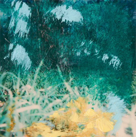 Lex ter Braak — Light Fall. The Alphabet of Lost Order #514