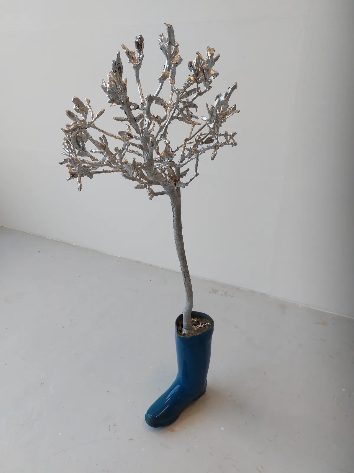 Bart Pols — Olea europaea