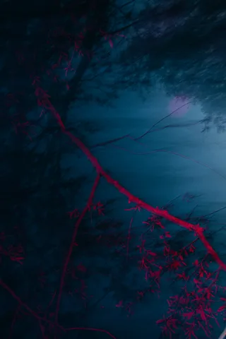 Michelle Piergoelam — Grandma's dream