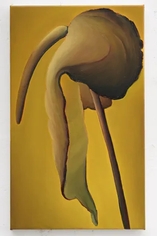 Ina van Zyl — Elephant
