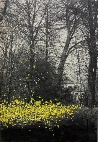 Hinke Schreuders — Into the woods (cadmium yellow)
