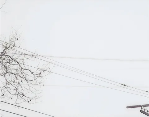 Uta Barth — White Blind (Bright Red) (02.7)