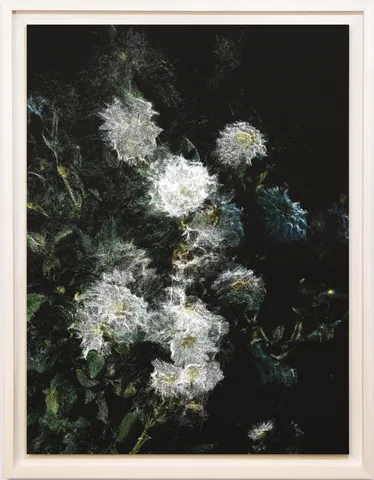 Stefano Caimi — Phytosynthesis – DaliaMyLove