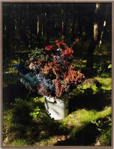 David Roth — Untitled (bouquet of brushes / Saint-Viâtre)