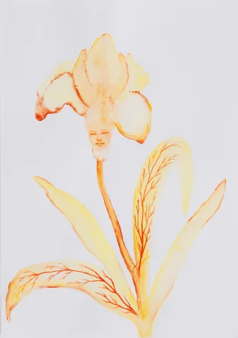 Odonchimeg Davaadorj — Blooming 4
