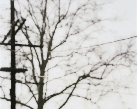 Uta Barth — White Blind (Bright Red)