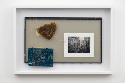 Roos Theuws — Untitled