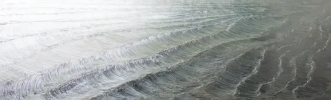 Lynne Leegte — The Waves
