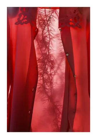 Monica Ragazzini — The Red Silk Shirt
