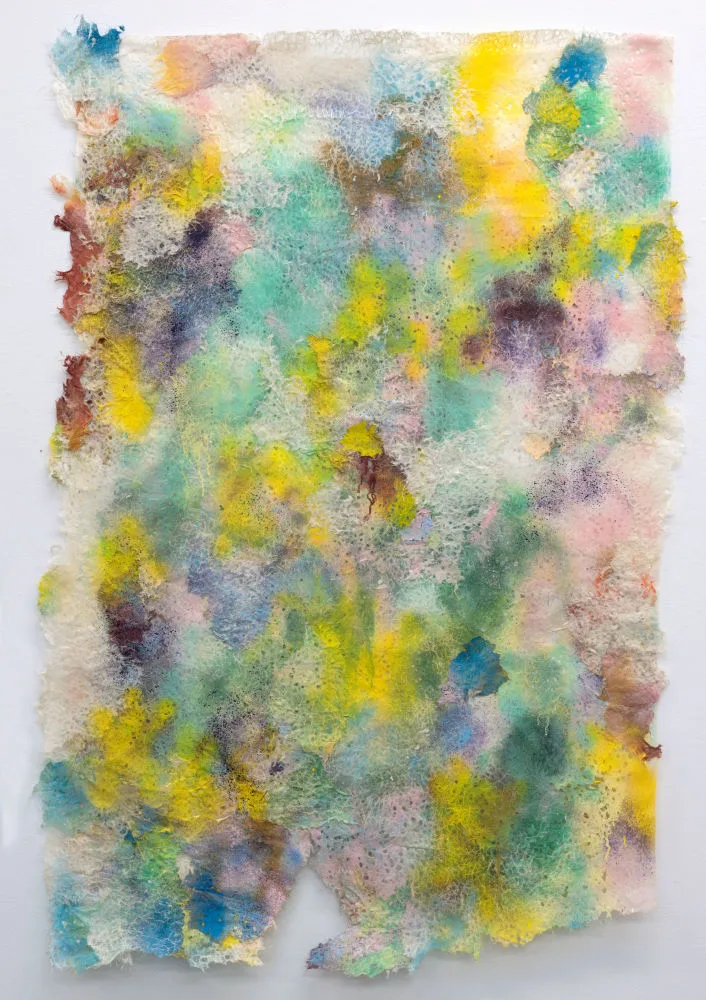 Lex ter Braak — Lightfall
