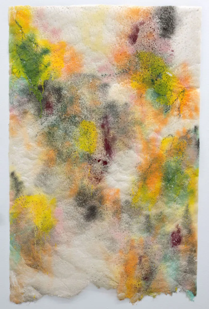 Lex ter Braak — Walking and Writing #3