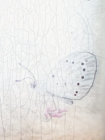 Mayte Breed — Butterfly Wings